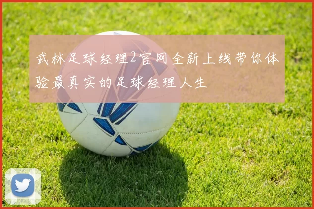 武林足球经理2官网全新上线带你体验最真实的足球经理人生