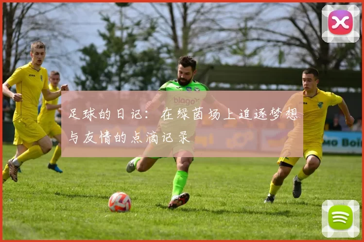 足球的日记：在绿茵场上追逐梦想与友情的点滴记录