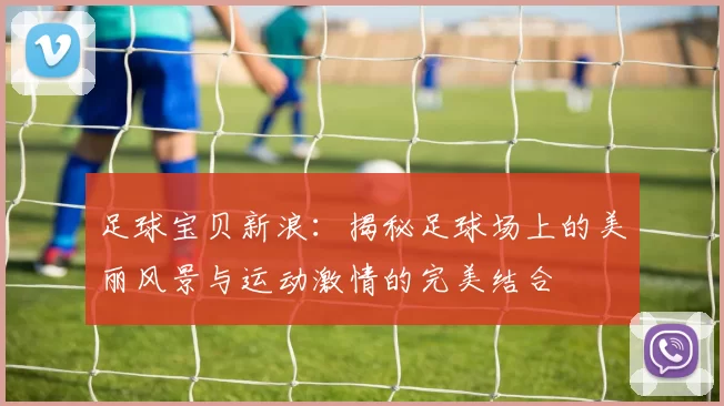 足球宝贝新浪：揭秘足球场上的美丽风景与运动激情的完美结合