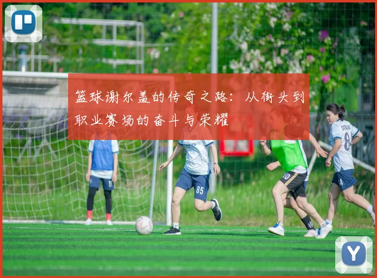 篮球谢尔盖的传奇之路：从街头到职业赛场的奋斗与荣耀